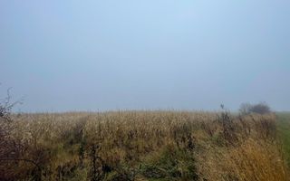 TEREN EXTRAVILAN | DOUA PARCELE 2.84 HA| IDEAL AGRICOL | DARMANESTI - Poză 2