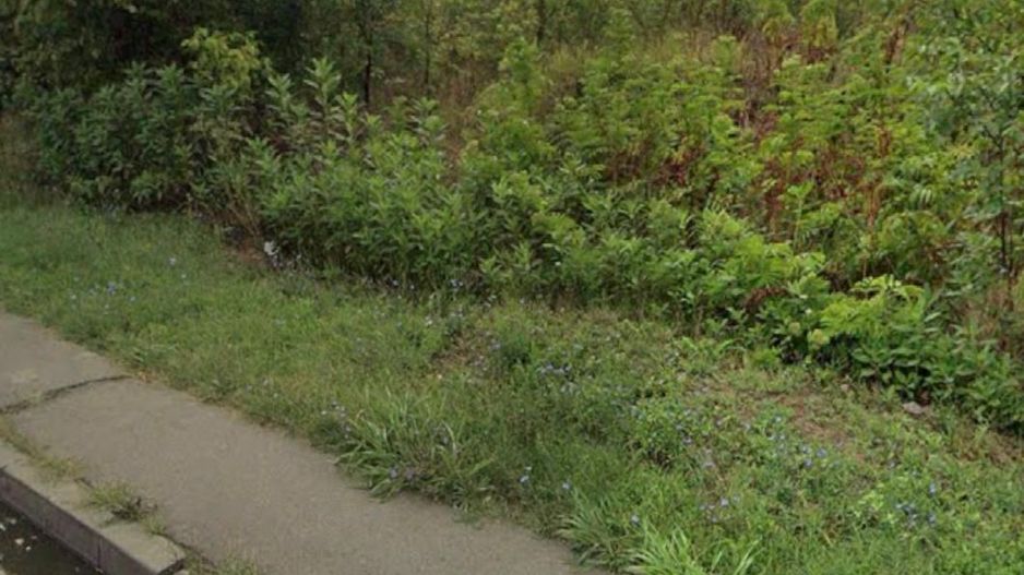 Logistica Comercial Industrial-Doua Deschideri - Poză 4