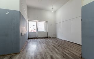 Locuință și Business pe Str. L. Blaga, Arad, Spațiu + Apartament - Poză 3