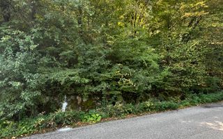 Teren extravilan de vânzare – Lacul Cinciș - Poză 6