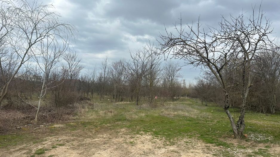 Teren intravilan cu PUZ aprobat 33.683 mp – Săftica/Balotești – deschidere DN1 - Poză 19