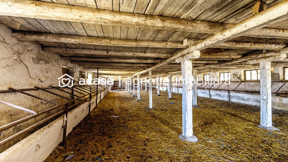 Fermă Mândruloc 2,5 ha - Poză 5