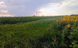 Teren extravilan de vânzare – 13 ari, deschidere la drum 7m - Poză 2