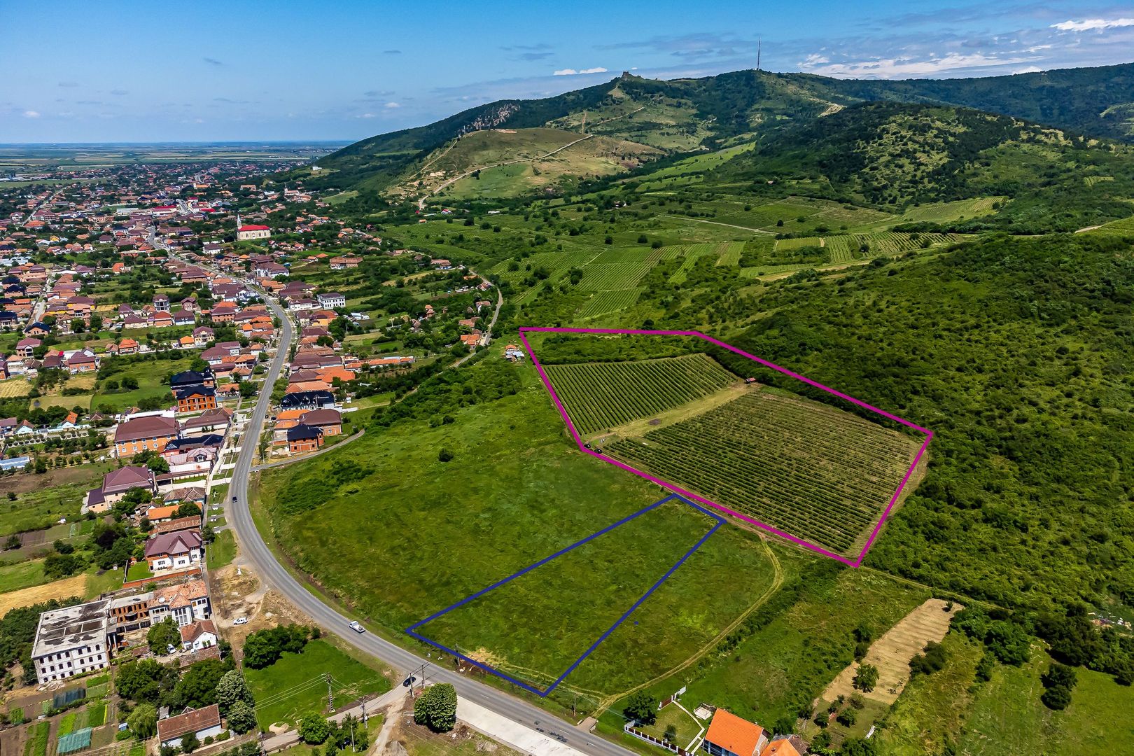 PRET REDUS Oportunitate de afacere, Teren cu vita de vie - Poză 1