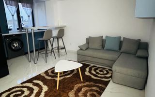 Apartament 2 camere open space, 40 mp, etaj 1, Hlincea - Poză 1