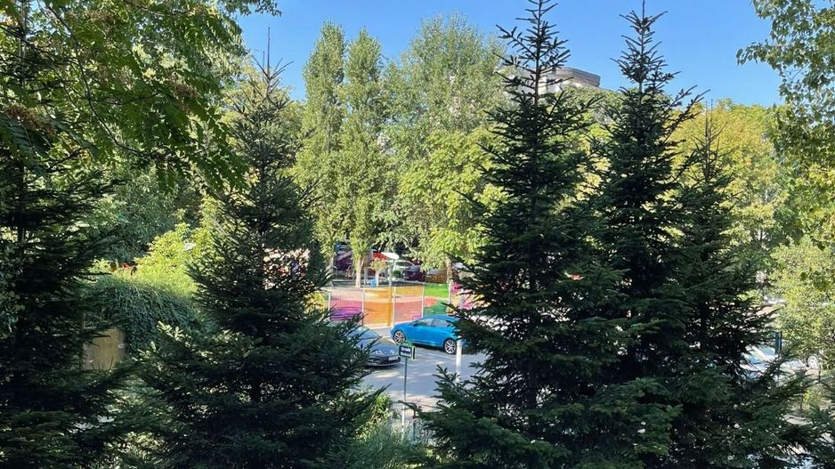 Apartament 2 camere zona Parc  Vacaresti/Oltenitei an 1986 - Poză 2