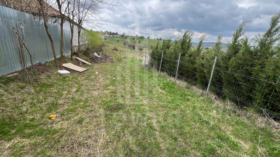 Terenuri de vânzare – Investiție cu potențial în Daia Nouă! - Poză 3