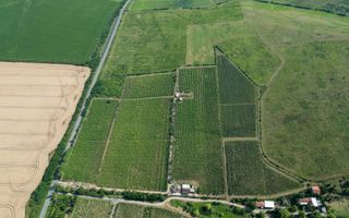 Vie Tradițională „Halta Lupilor” - Poză 37