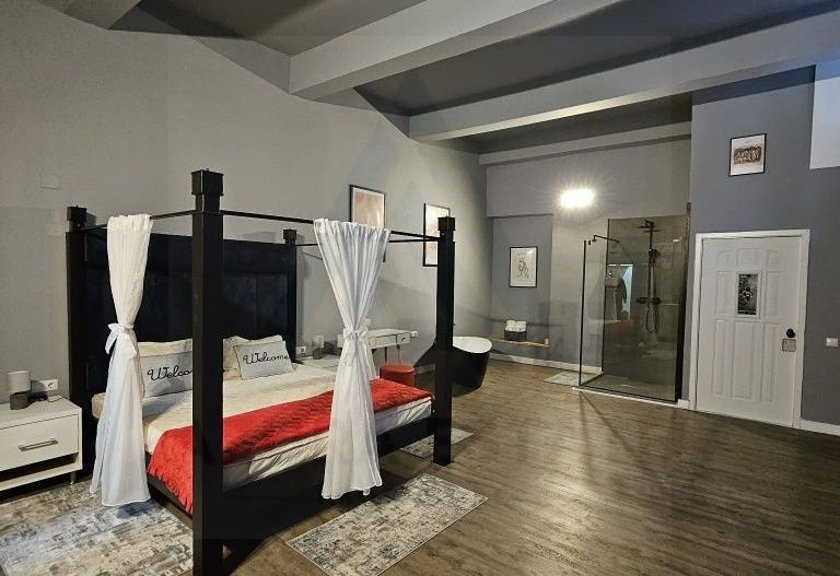 Garsoniera regim hotelier sau spatiu comercial 46 mp utili Terezian - Poză 3