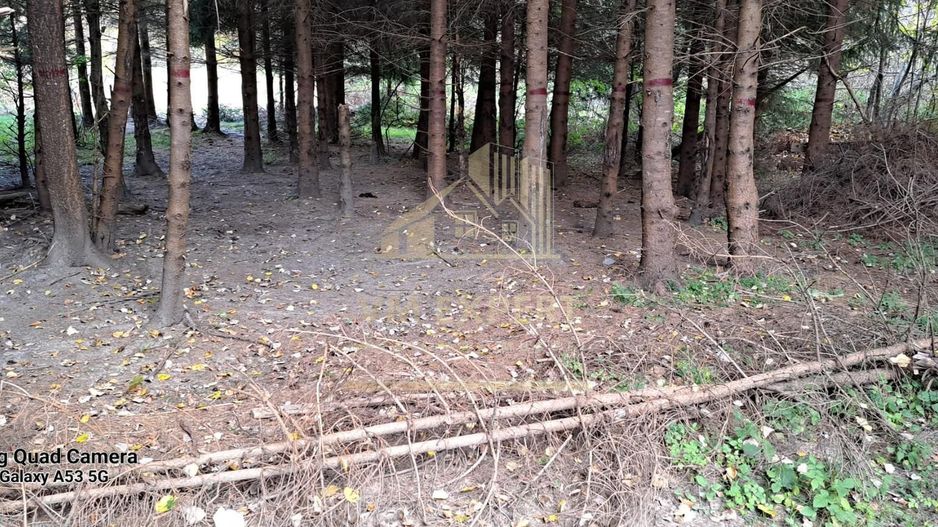 TEREN INTRAVILAN 500 MP, LERESTI-VOINA, ARGES - Poză 1