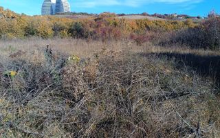 Teren intravilan 4500mp-oportunitate investitii-panoramic-Zona Wings - Poză 2