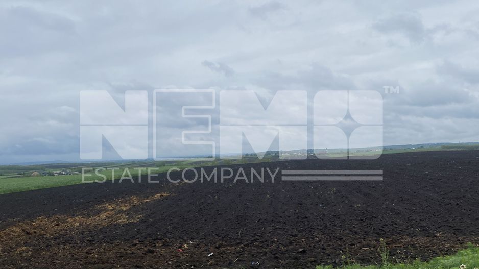 Teren Extravilan | Dornesti | 14.100 Mp - Poză 4