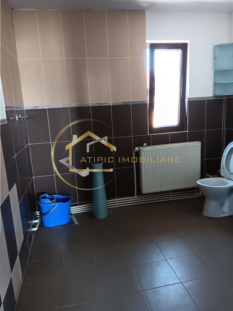 De vanzare vila individuala in Lunca Cetatuii Cartierul Tineretului - Poză 15