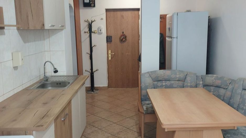 Apartament 2 camere Pet Friendly, complet mobilat si utilat, Lujerului - Poză 6