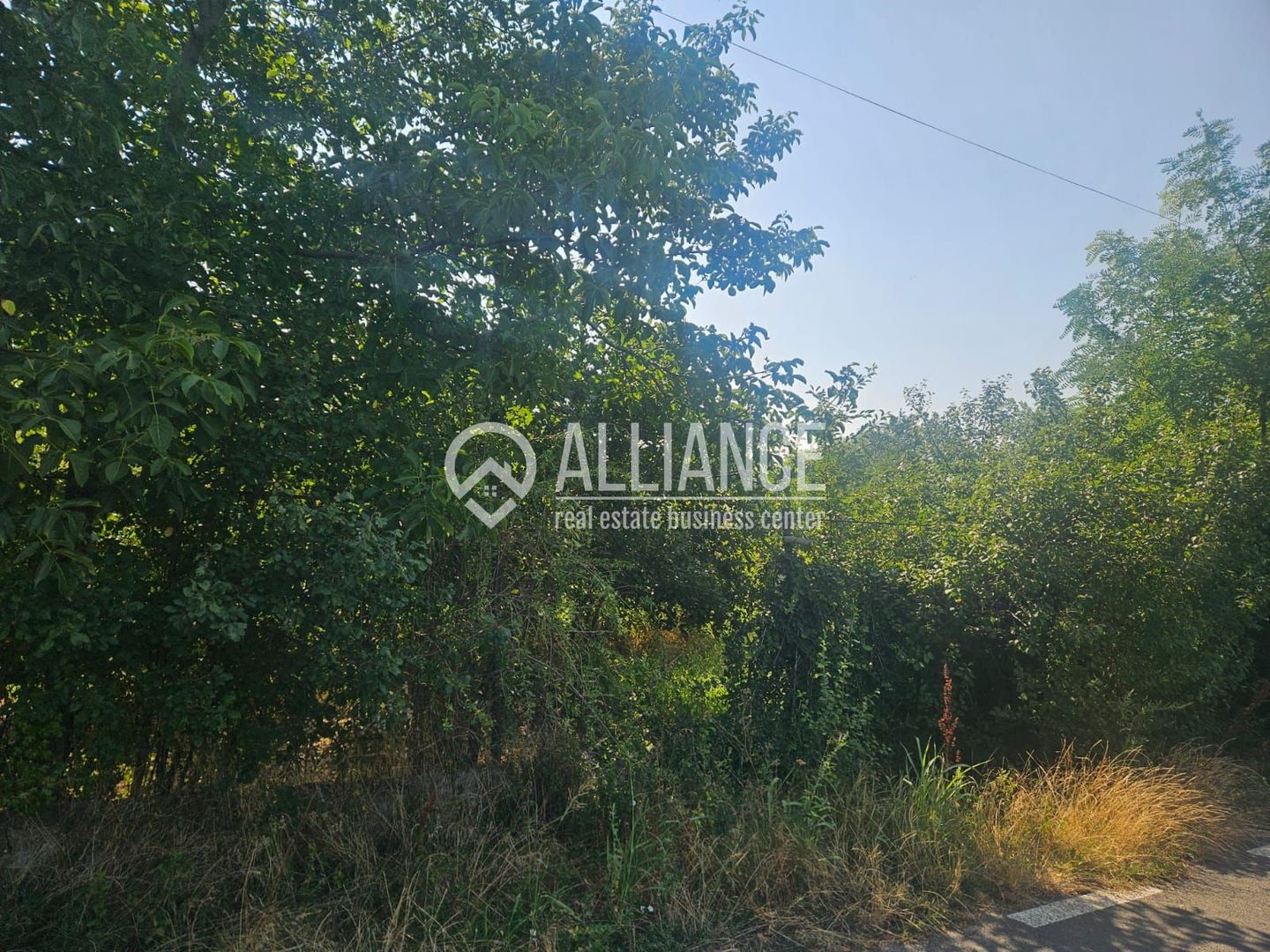 ISTRIA (COD04)-Teren intravilan 1528 mp-Constanta - Poză 7