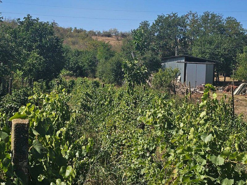 Teren 1800 mp + casa batraneasca - Fartanesti, jud. Galati - Poză 5