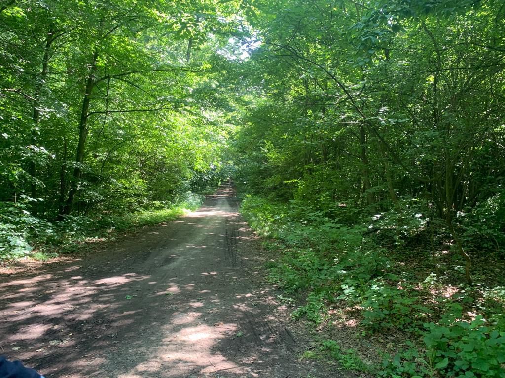 46644 mp teren in Padurea Baneasa proiect exclusivist - Poză 11