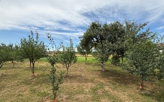 Teren intravilan – 1.945 mp | Fundătura, comuna Iclod - Poză 2