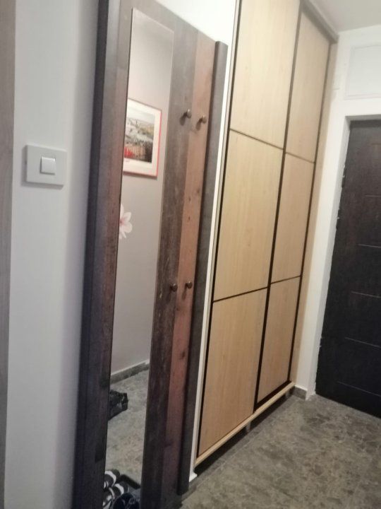 APARTAMENT 2 CAMERE MIHALACHE | CIUPERCA - Poză 7