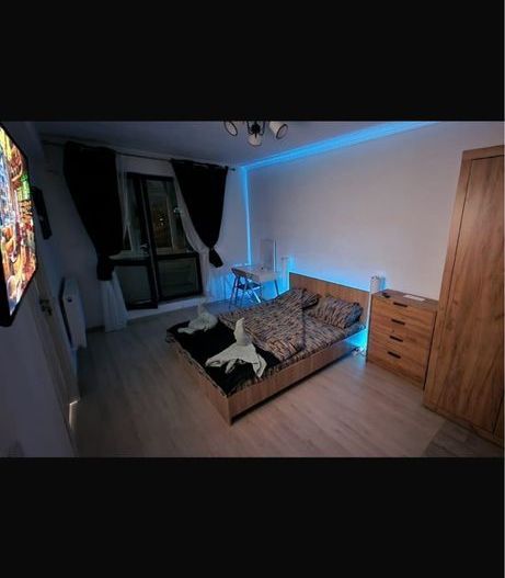 Inchiriere garsoniera PETFRIENDLY -Salaj - sector 5 - Poză 4