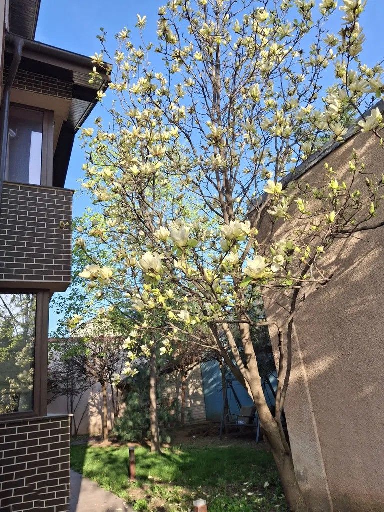 URGENT!, VILA EXCLUSIVISTA, FINISAJE DE EXCEPTIE, NEGOCIABIL - Poză 3