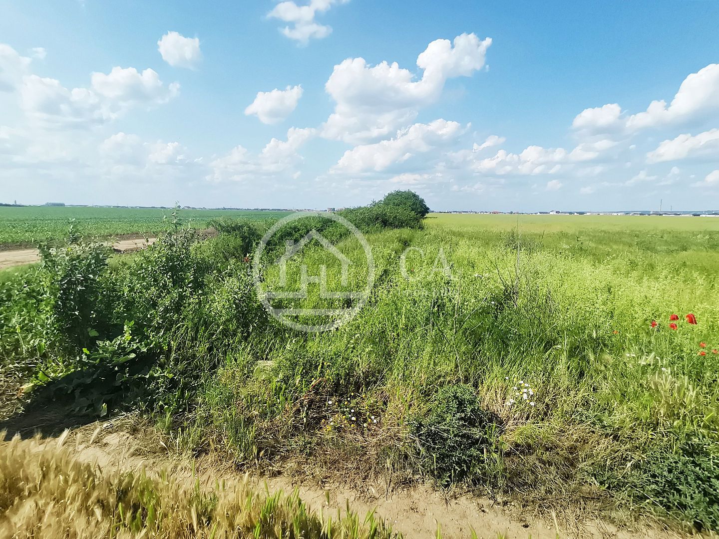 Teren intravilan de vânzare in Santandrei, Bihor - Poză 1