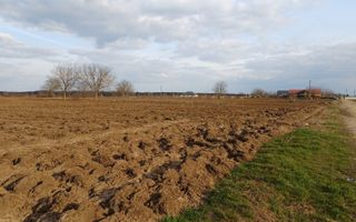 Teren de vânzare | Moara Vlăsiei | Utilități în zonă - Poză 1