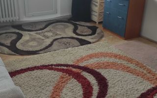 Apartament cu 1 cameră de închiriat, Nicolina, strada Carpați, etaj 7 - Poză 4