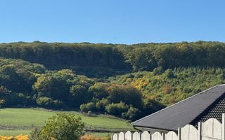 Teren intravilan in localitatea Betfia - Poză 5