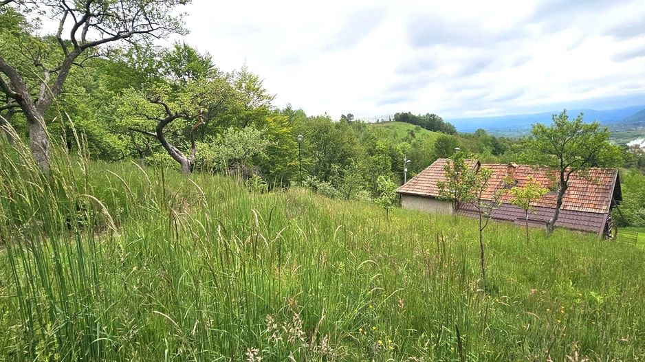 Domeniu Premium 1.7 Ha Intravilan Zărnești | Lizieră Pădure | Ideal Resort - Poză 6