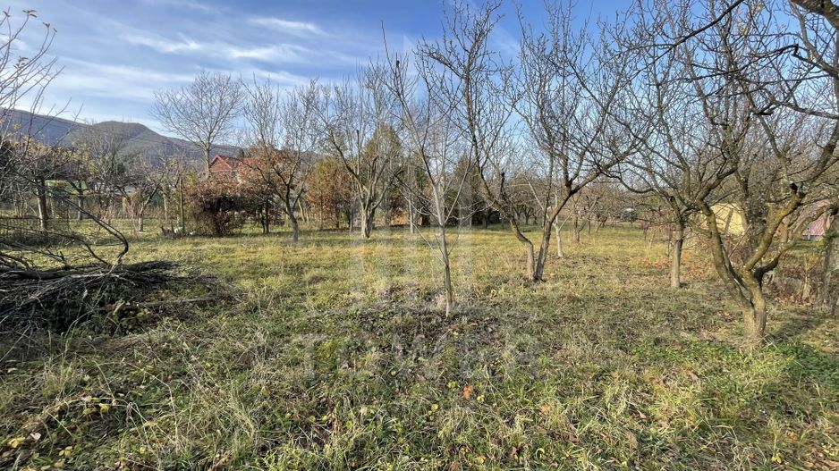 Teren intravilan 1.915 mp + cabană din lemn | Tocile – Sadu - Poză 7