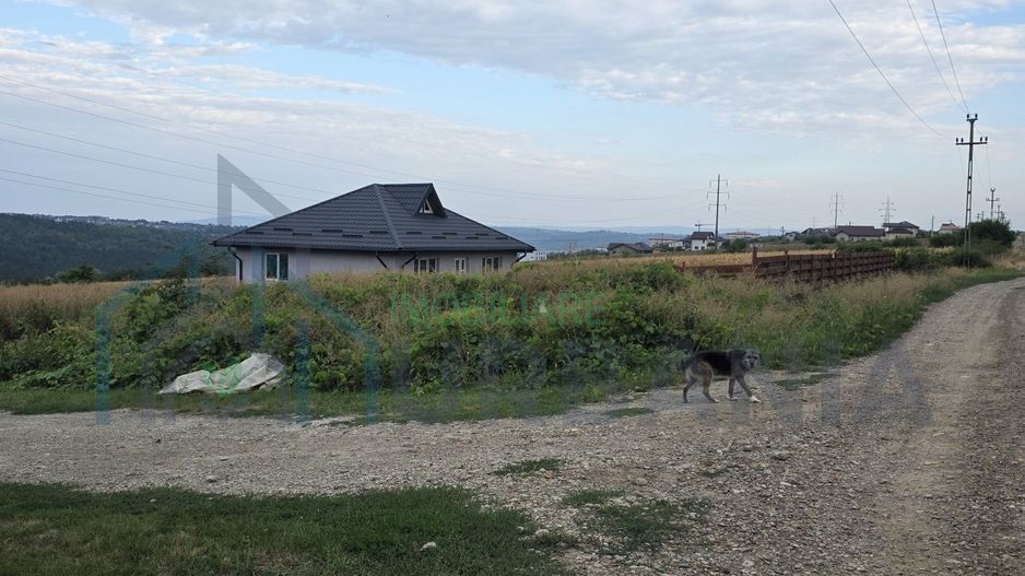 Teren intravilan de vanzare in Valea Lupului, Strada Rubinului - Poză 2