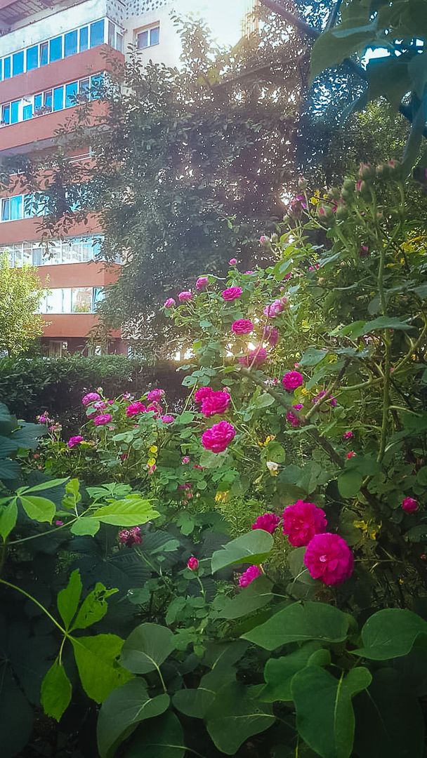 Imobil pretabil locuință permanentă, de vacanță sau spațiu birouri, Comision 0% - Poză 24