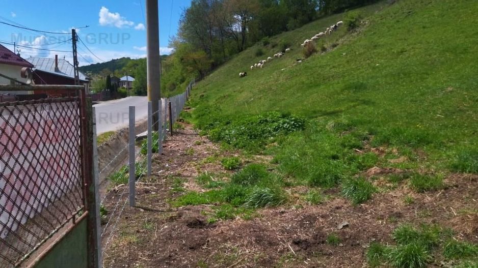 NAMAESTI - Valea Mare Pravat, 7000 mp. teren intravilan, ideal locuinta - Poză 5