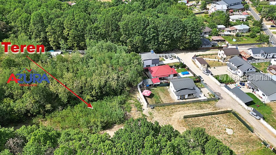 AZURA Imobiliare - Vanzare teren Hintesti, langa padure, 300m din DN - Poză 18