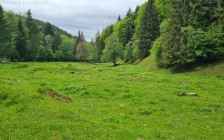 13005 mp teren faneata in Bran Simon cu fornt de 57 mp - Poză 9