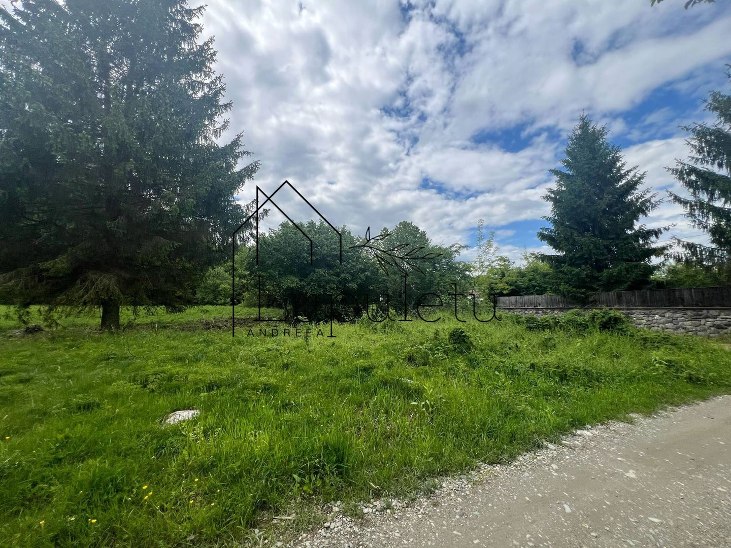 Teren Intravilan – 2.700 mp | Valea Avrigului | Zonă turistică deoseb - Poză 3