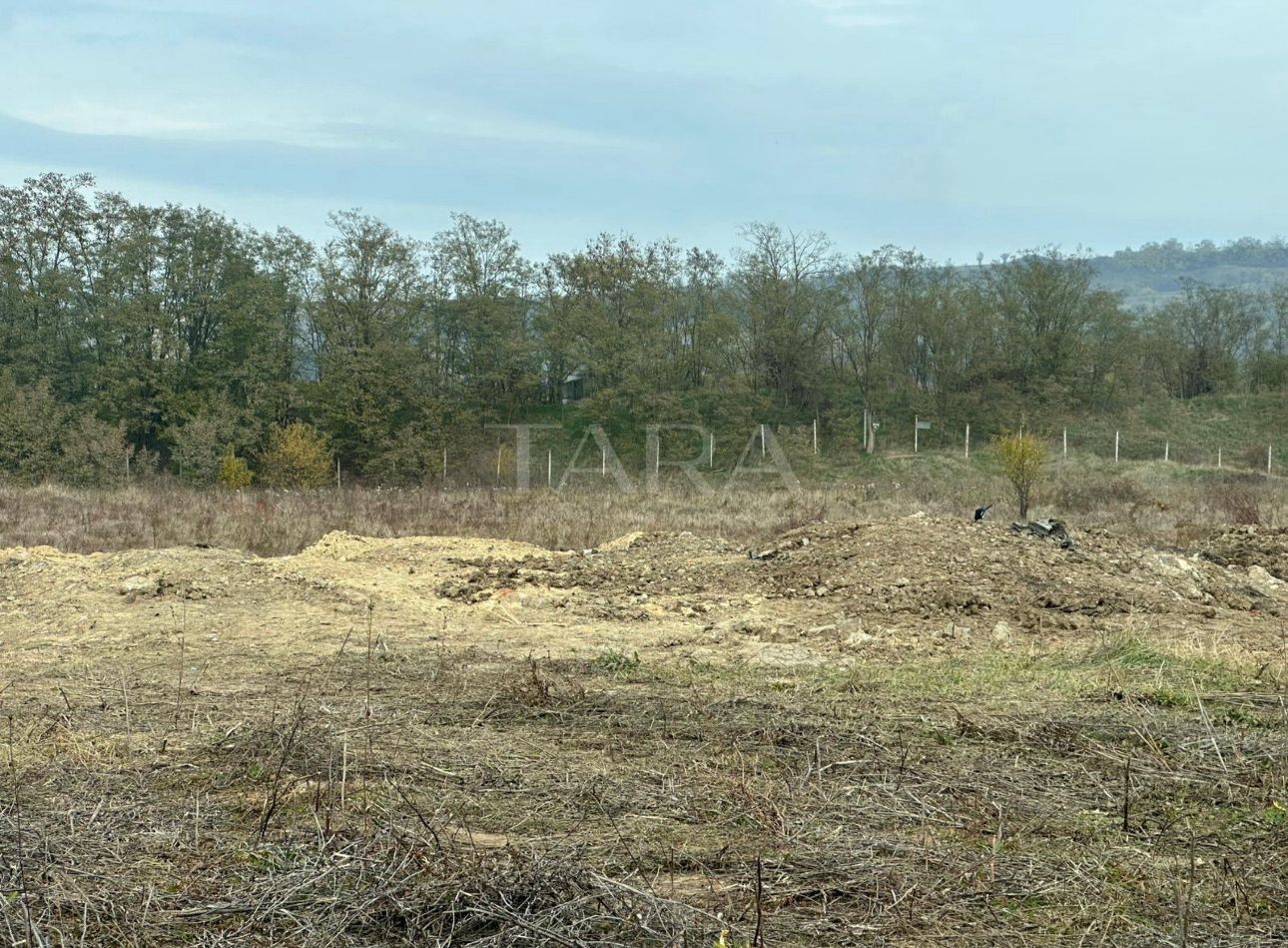 Teren pentru investiție în plină dezvoltare - Poză 2