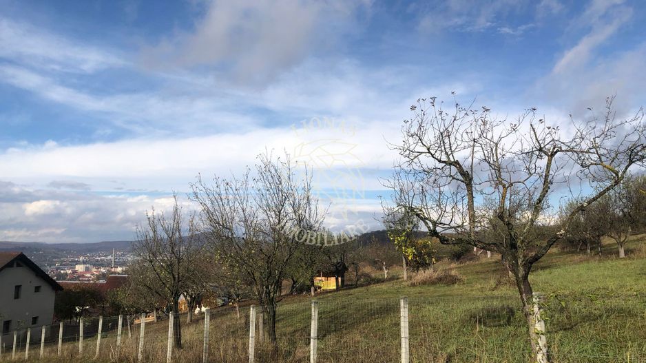 Teren intravilan 3800 mp-pretabil case-parcelabil-Zona Cartier Raal - Poză 1