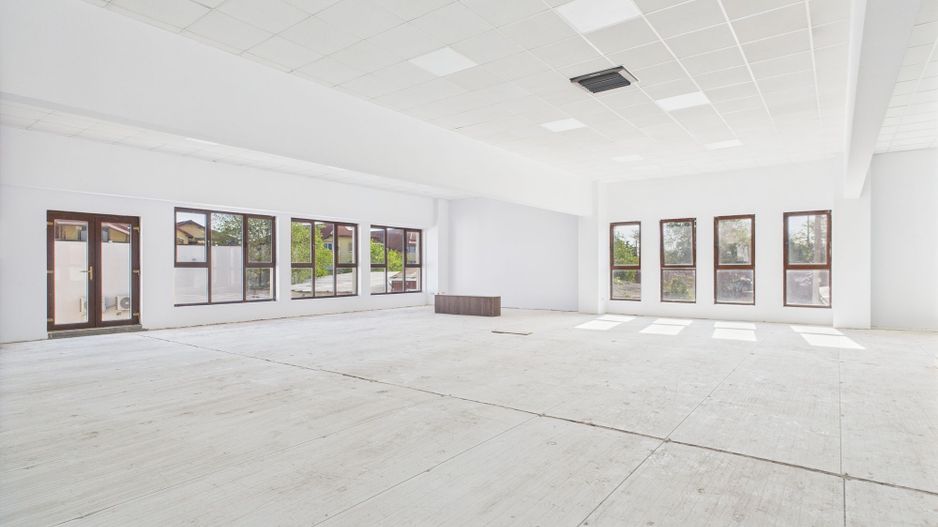Spații Comerciale între 70 și 350 mp în Dumbrăvița - Poză 1