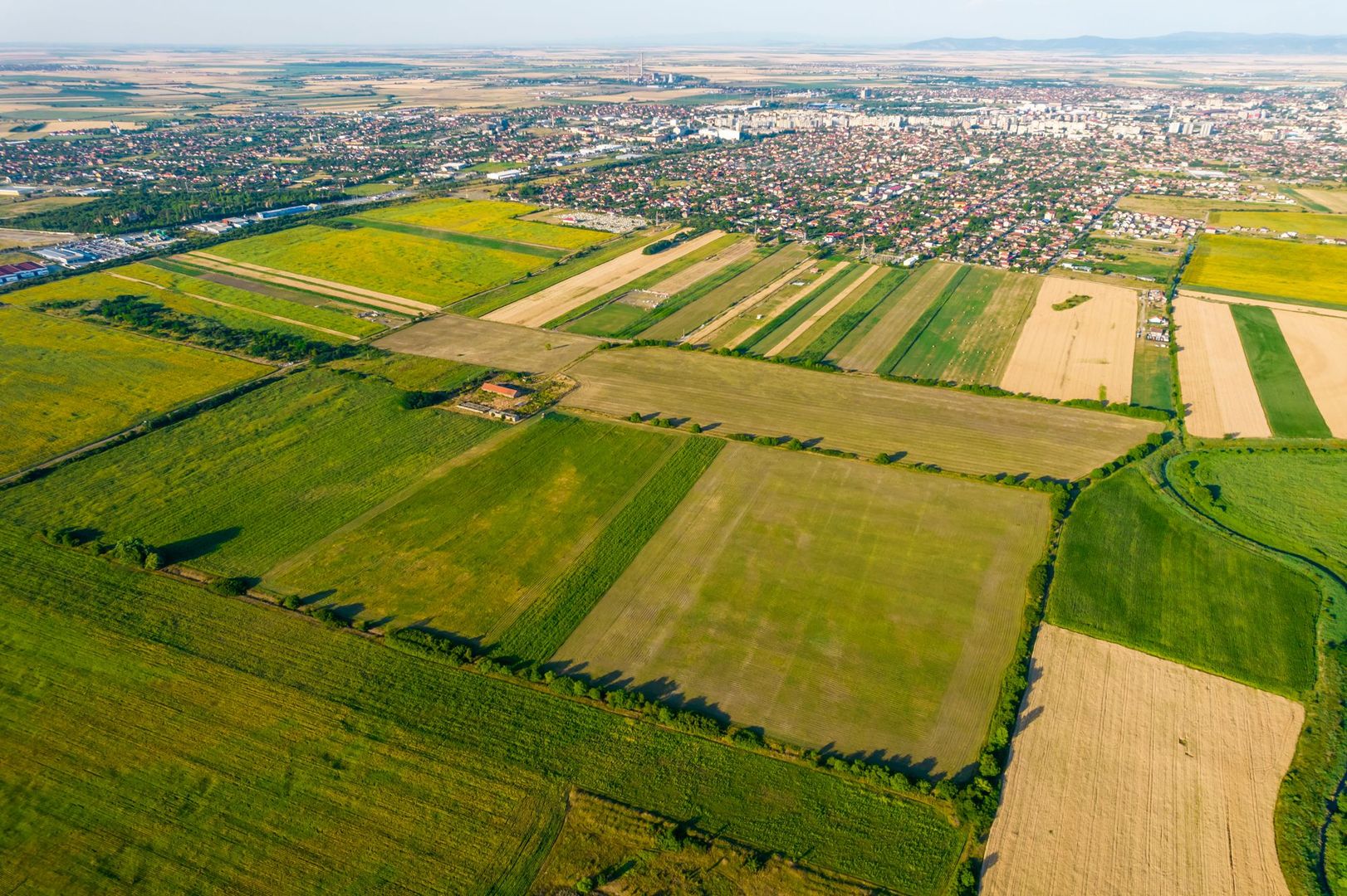 50 ha teren compact în Bujac - Poză 3