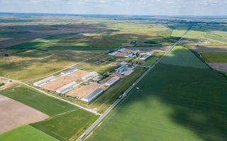 Teren Intravilan Investiții 11.600 mp Salonta - Poză 12