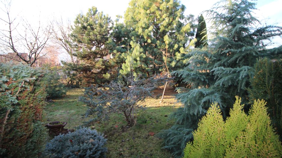 CASA CU MULTIPLE DESTINATII - Poză 12