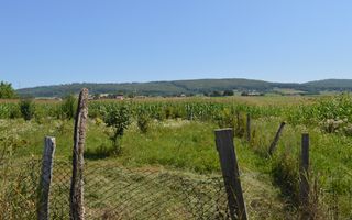 Casă 5 camere Siliștea Nouă/Suceava - Poză 8