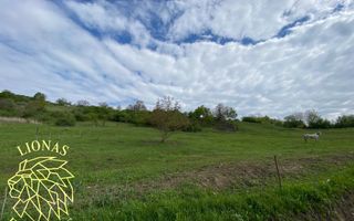 Teren Extravilan - Ghinda - 3.5000mp-Parcelabil - Poză 7