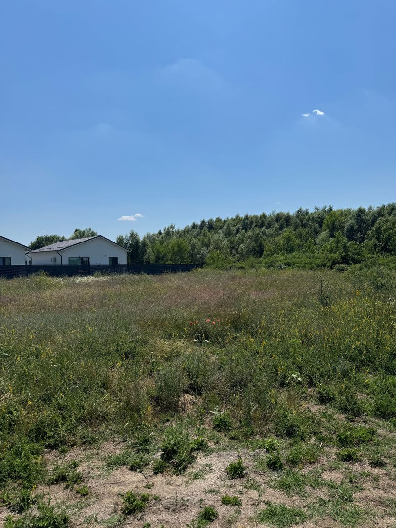 Domnesti - Strada Salciei - Teren intravilan 500 mp x 2 loturi - Poză 1