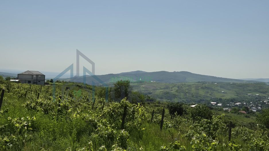 Teren intravilan de vânzare în Tomesti-Goruni – parcele de 700 mp și 3000 mp - Poză 2