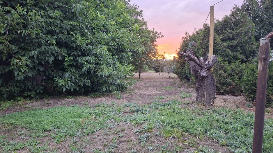 BRASADAS vinde casa individuala 2 cam teren 6 ari Titulescu. - Poză 3