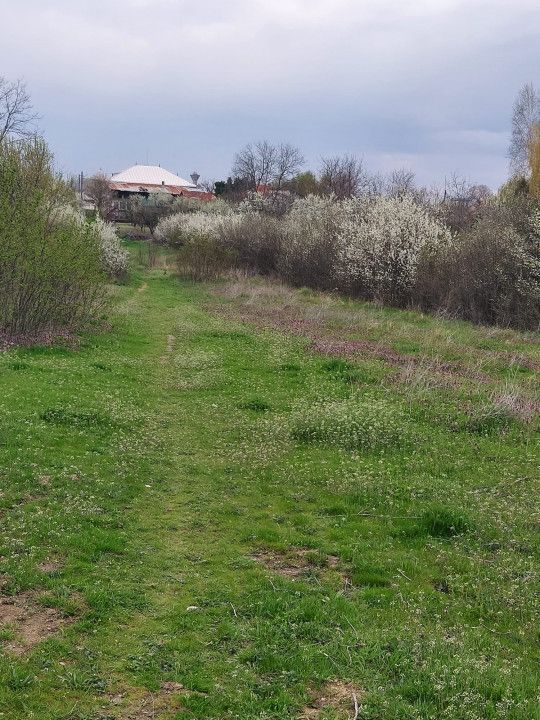 Teren Topoloveni - 3670 mp - langa padure, aproape de Centrul orasului  - Poză 3