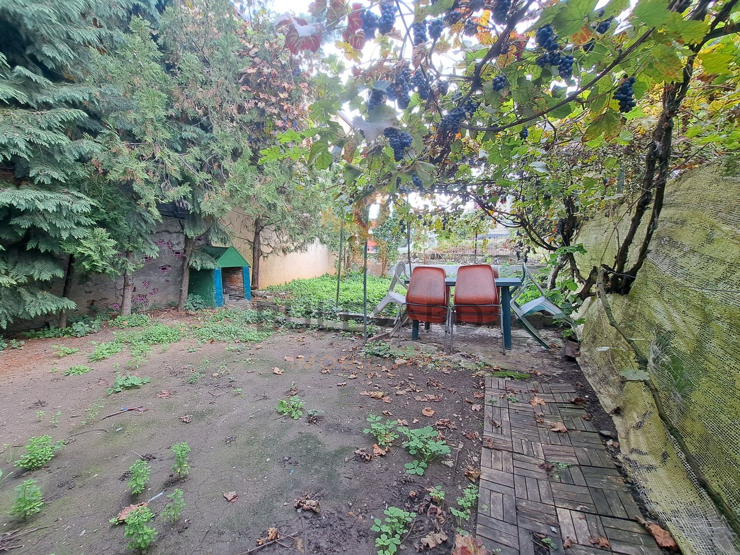 Casa 3 dormitoare, curte 60mp, parcare, langa UMF! - Poză 18